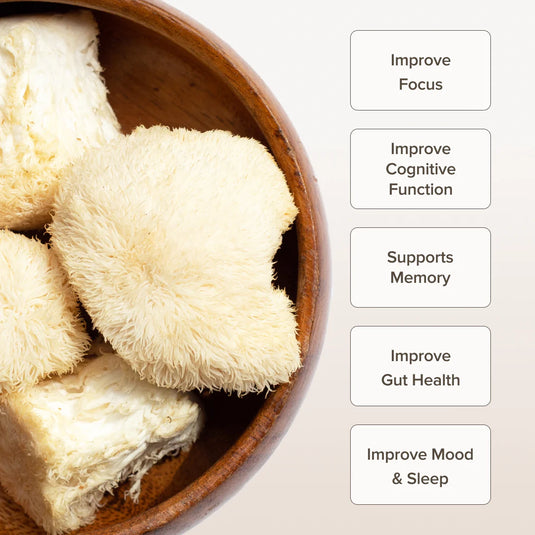 Bloomable Lion's Mane Mushroom Powder